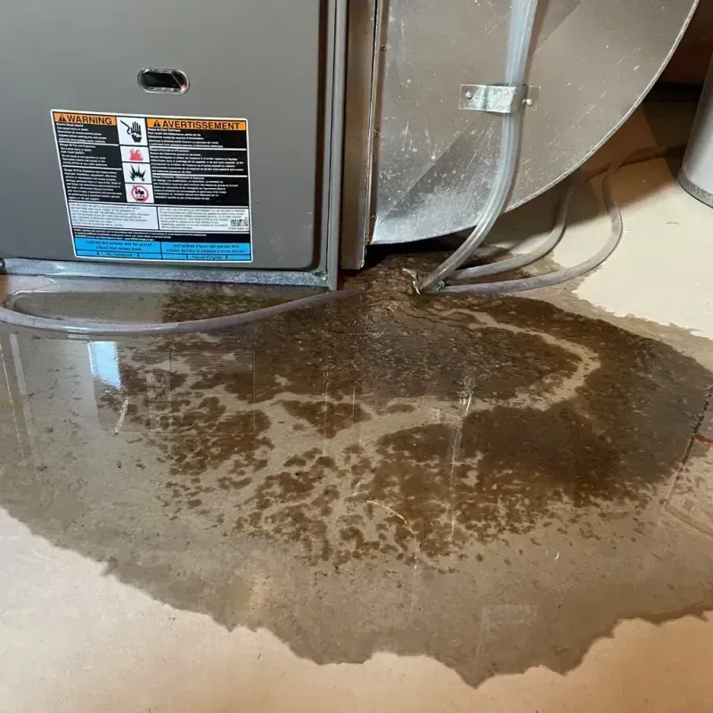 Appliance Leak Cleanup in Morgan County, OH